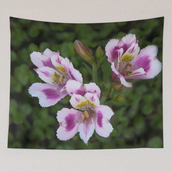 Item preview, Three Beauties designed and sold by heatherfriedman.