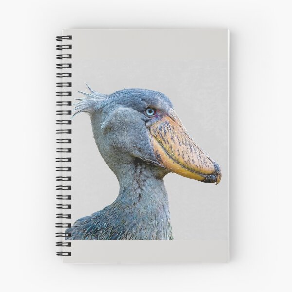 Item preview, Shoebill Stork  designed and sold by Savannah Gibbs.