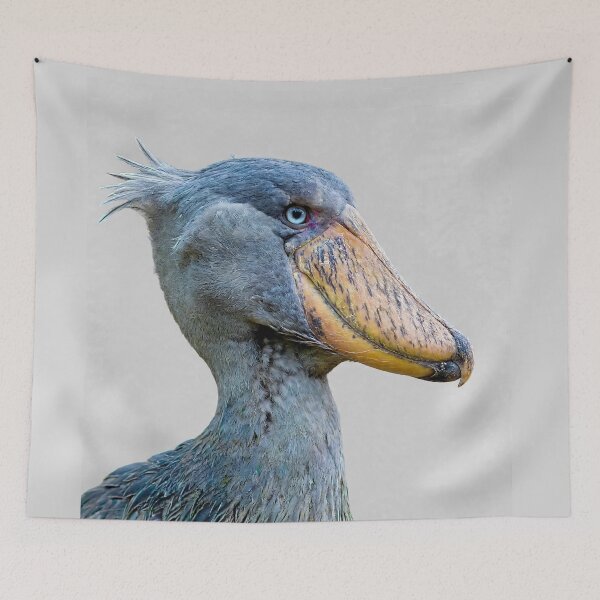 Item preview, Shoebill Stork  designed and sold by Savannah Gibbs.