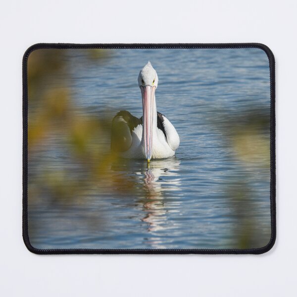 Item preview, Australian Pelican designed and sold by robdanimalphotography.