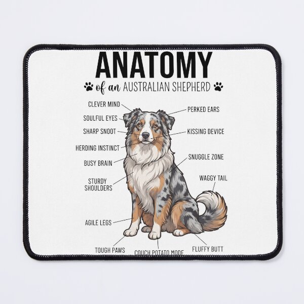 Item preview, Australian Shepherd Anatomy Dog Lover designed and sold by dian-rody-crest.