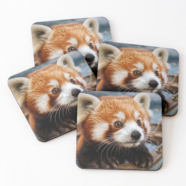 Item preview, Red Panda designed and sold by Savannah Gibbs.