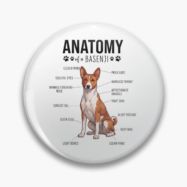 Item preview, Basenji Anatomy Dog Lover designed and sold by dian-rody-crest.