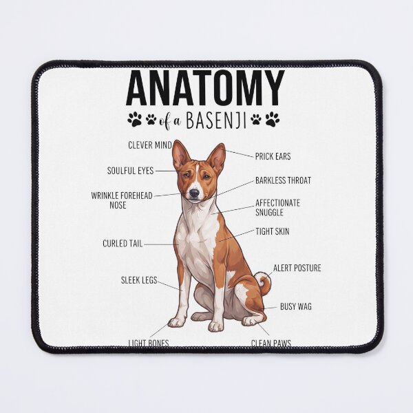Item preview, Basenji Anatomy Dog Lover designed and sold by dian-rody-crest.