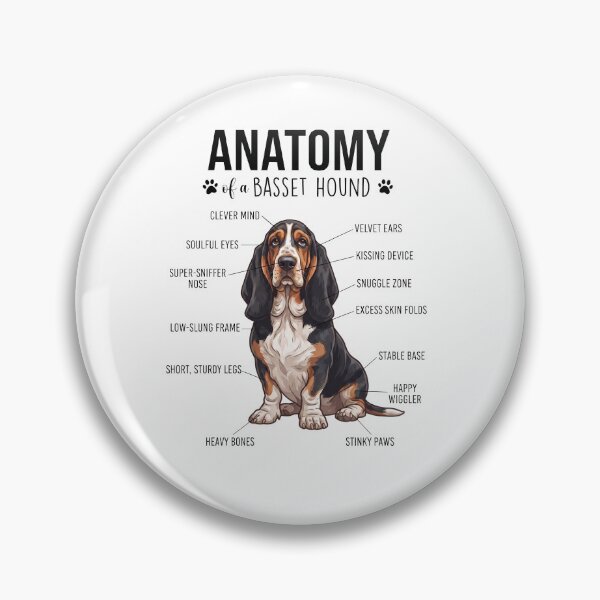 Item preview, Basset Hound Anatomy Dog Lover designed and sold by dian-rody-crest.