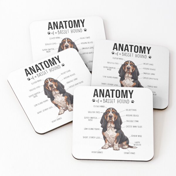 Item preview, Basset Hound Anatomy Dog Lover designed and sold by dian-rody-crest.