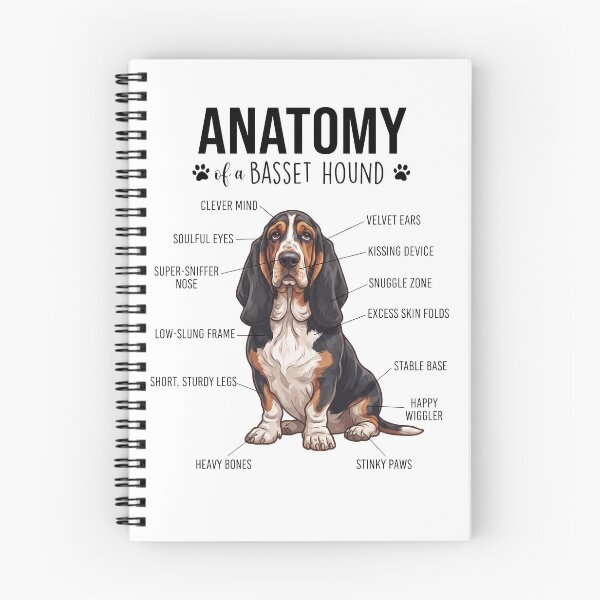 Item preview, Basset Hound Anatomy Dog Lover designed and sold by dian-rody-crest.