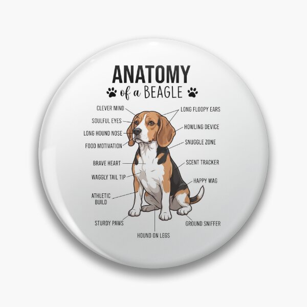 Item preview, Beagle Anatomy Dog Lover designed and sold by dian-rody-crest.
