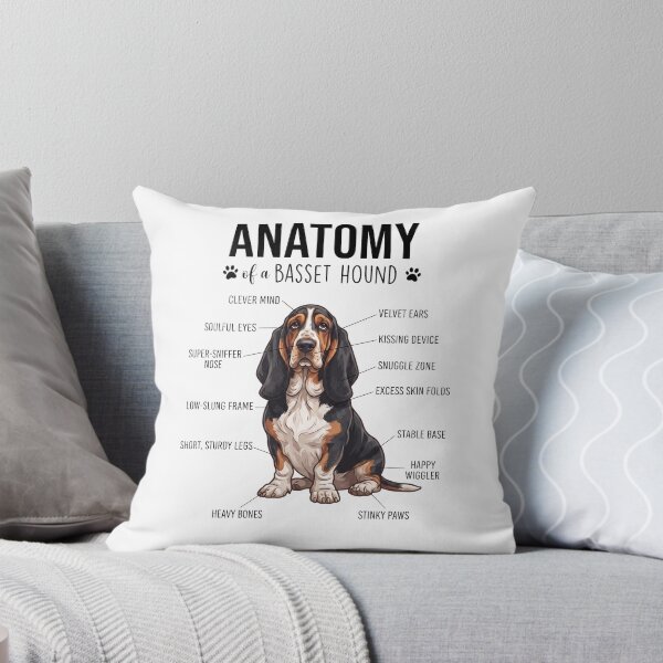 Item preview, Basset Hound Anatomy Dog Lover designed and sold by dian-rody-crest.