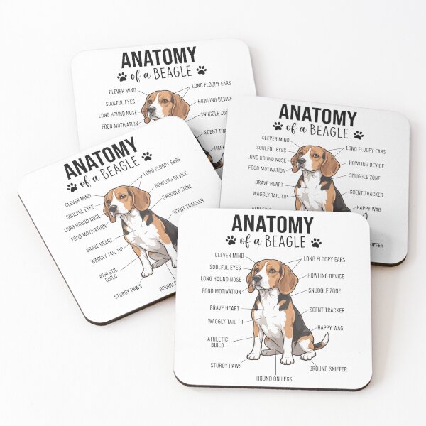 Artikelvorschau, Beagle-Anatomie Hundeliebhaber entworfen und verkauft von dian-rody-crest.