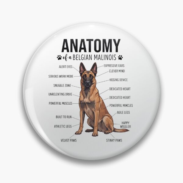 Item preview, Belgian Malinois Anatomy Dog Lover designed and sold by dian-rody-crest.