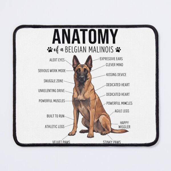 Item preview, Belgian Malinois Anatomy Dog Lover designed and sold by dian-rody-crest.