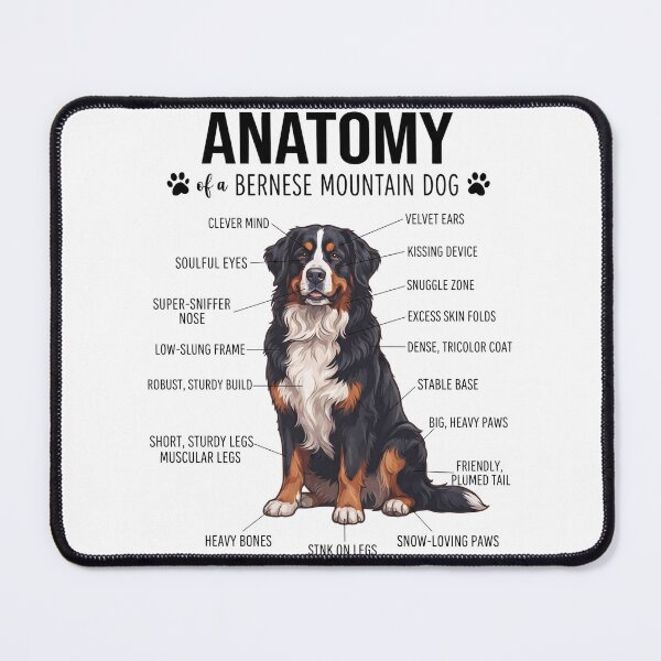 Item preview, Bernese Mountain Dog Anatomy Dog Lover designed and sold by dian-rody-crest.