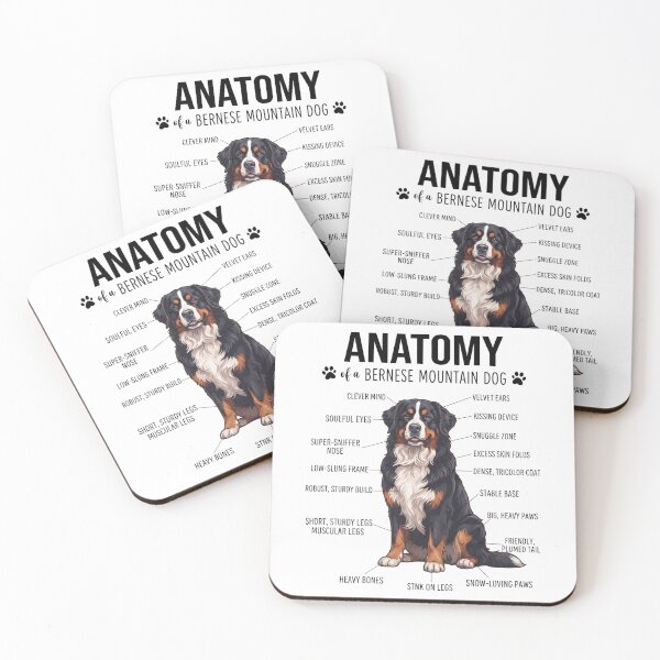 Item preview, Bernese Mountain Dog Anatomy Dog Lover designed and sold by dian-rody-crest.