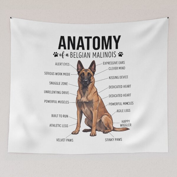 Item preview, Belgian Malinois Anatomy Dog Lover designed and sold by dian-rody-crest.