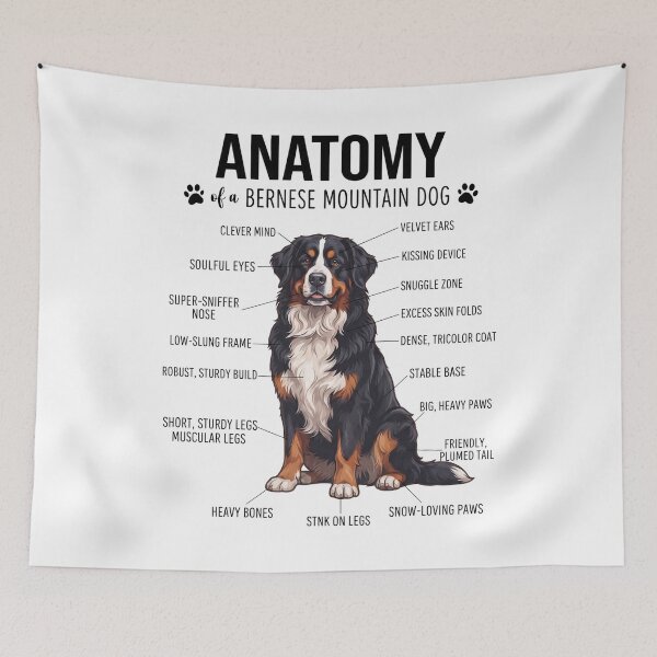 Item preview, Bernese Mountain Dog Anatomy Dog Lover designed and sold by dian-rody-crest.