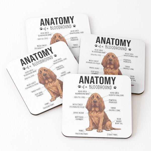 Item preview, Bloodhound Anatomy Dog Lover designed and sold by dian-rody-crest.