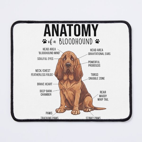 Item preview, Bloodhound Anatomy Dog Lover designed and sold by dian-rody-crest.