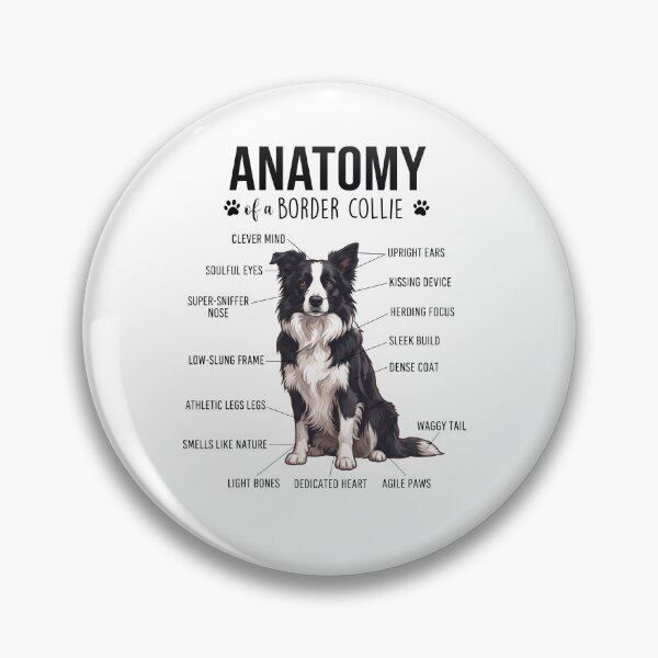 Item preview, Border Collie Anatomy Dog Lover designed and sold by dian-rody-crest.