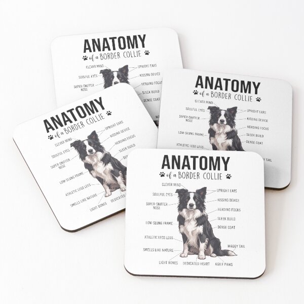 Item preview, Border Collie Anatomy Dog Lover designed and sold by dian-rody-crest.