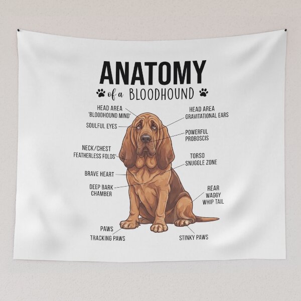 Item preview, Bloodhound Anatomy Dog Lover designed and sold by dian-rody-crest.