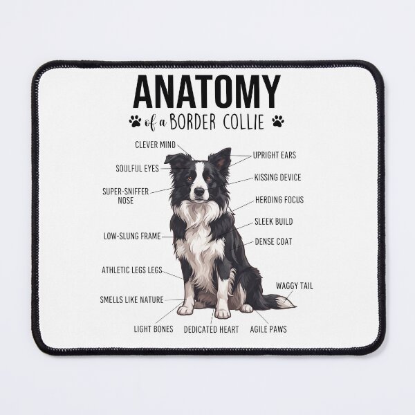 Item preview, Border Collie Anatomy Dog Lover designed and sold by dian-rody-crest.