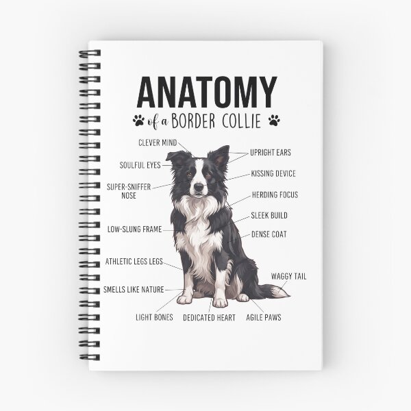 Item preview, Border Collie Anatomy Dog Lover designed and sold by dian-rody-crest.