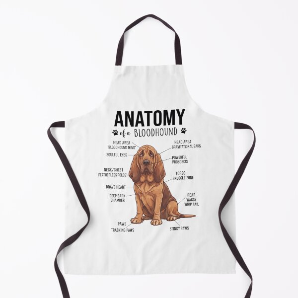 Aperçu de l'œuvre Anatomie du Bloodhound pour les amoureux des chiens créée et vendue par dian-rody-crest.