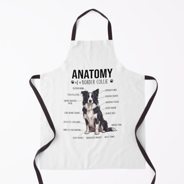 Item preview, Border Collie Anatomy Dog Lover designed and sold by dian-rody-crest.
