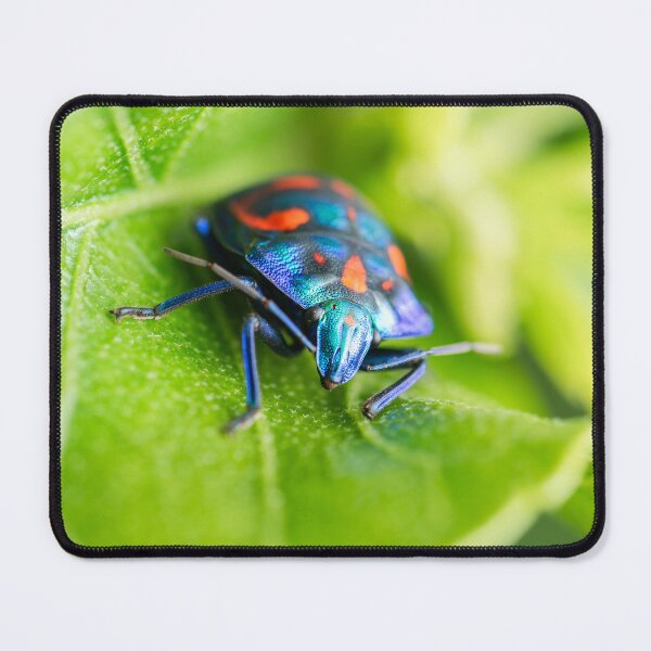 Item preview, Male Hibiscus Harlequin Bug designed and sold by robdanimalphotography.
