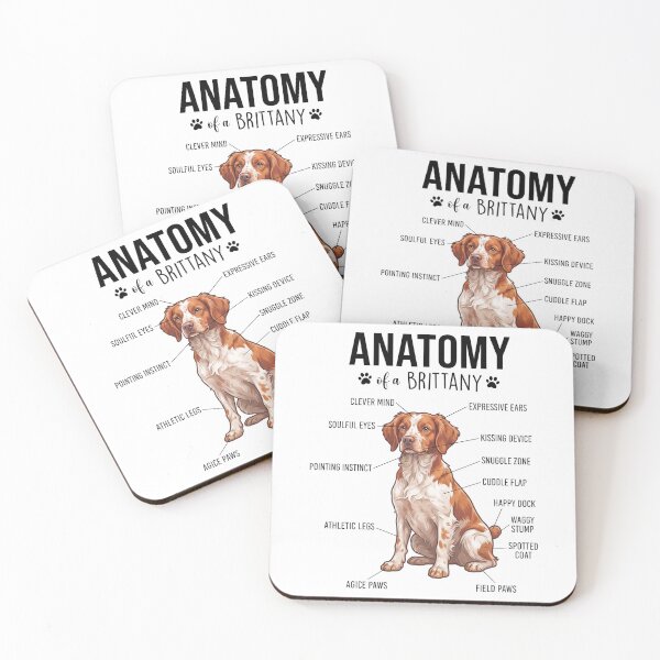 Item preview, Brittany Anatomy Dog Lover designed and sold by dian-rody-crest.
