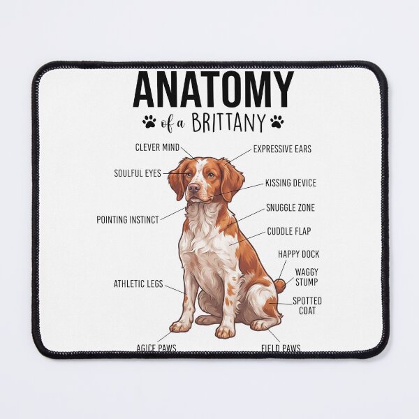 Item preview, Brittany Anatomy Dog Lover designed and sold by dian-rody-crest.