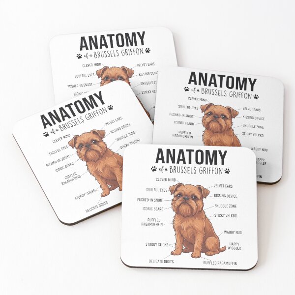 Item preview, Brussels Griffon Anatomy Dog Lover designed and sold by dian-rody-crest.