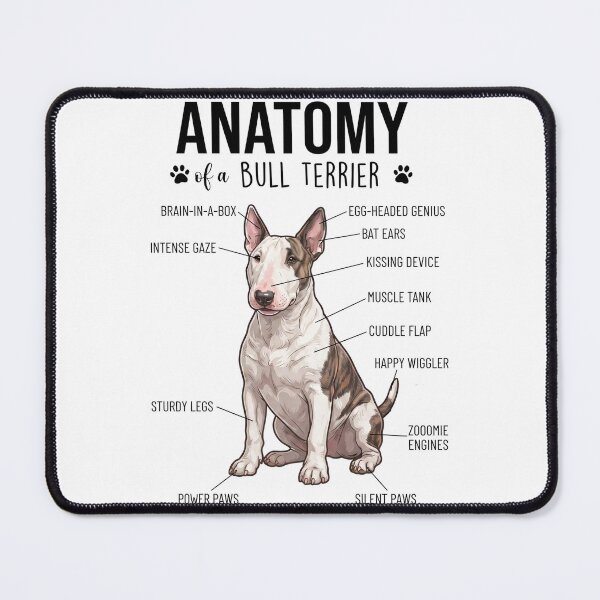 Item preview, Bull Terrier Anatomy Dog Lover designed and sold by dian-rody-crest.