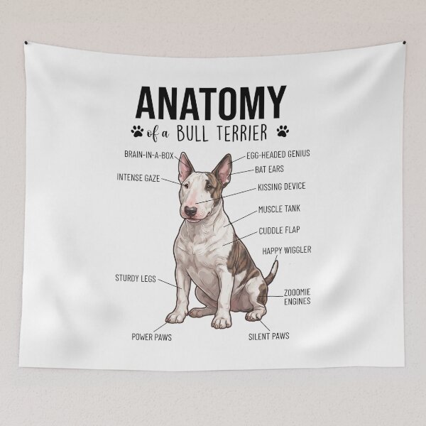 Item preview, Bull Terrier Anatomy Dog Lover designed and sold by dian-rody-crest.