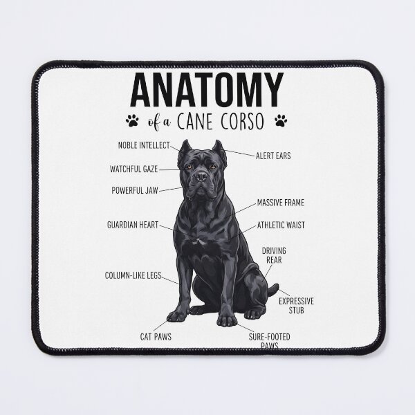 Item preview, Cane Corso Anatomy Dog Lover designed and sold by dian-rody-crest.