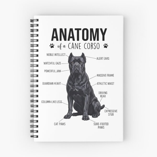 Item preview, Cane Corso Anatomy Dog Lover designed and sold by dian-rody-crest.