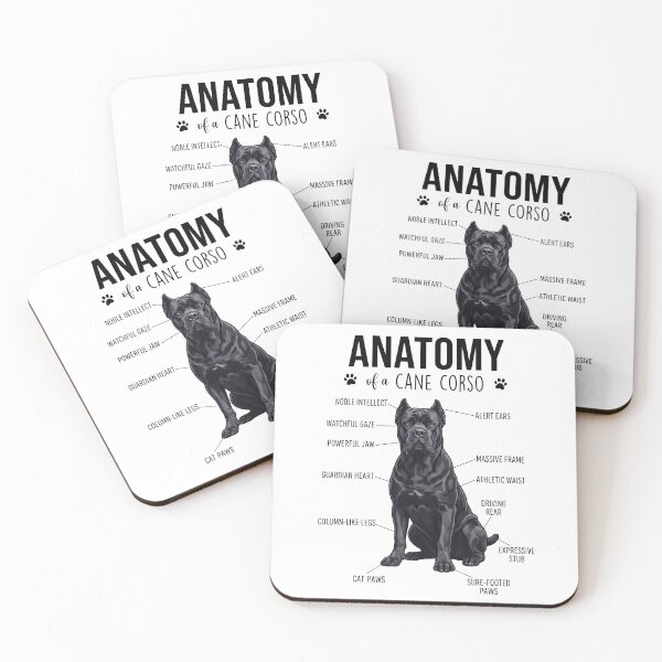 Item preview, Cane Corso Anatomy Dog Lover designed and sold by dian-rody-crest.