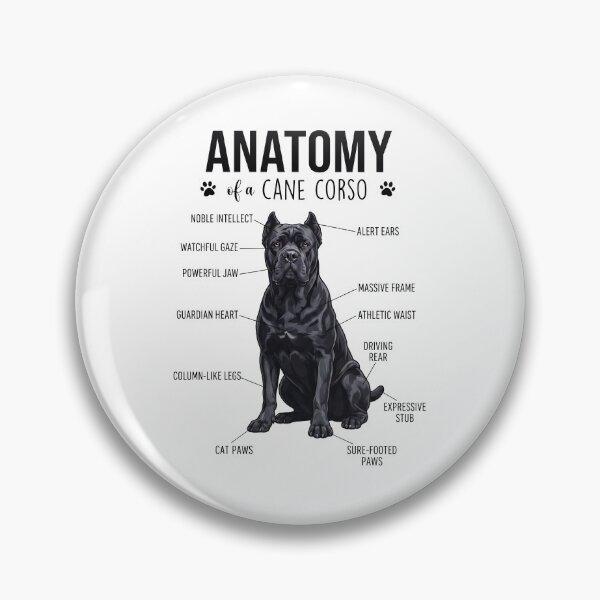 Item preview, Cane Corso Anatomy Dog Lover designed and sold by dian-rody-crest.