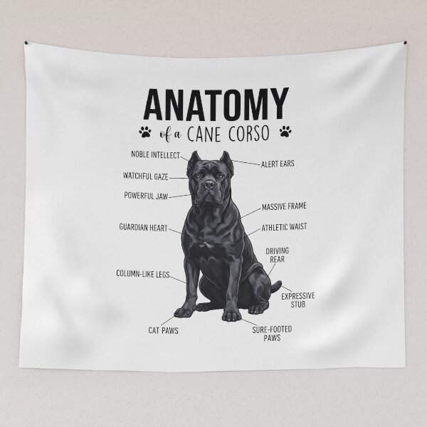 Item preview, Cane Corso Anatomy Dog Lover designed and sold by dian-rody-crest.