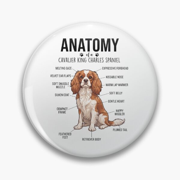 Item preview, Cavalier King Charles Spaniel Anatomy Dog Lover designed and sold by dian-rody-crest.