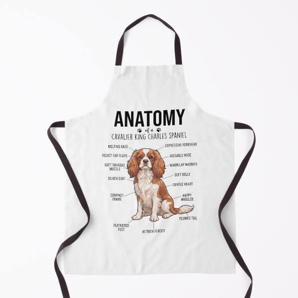 Item preview, Cavalier King Charles Spaniel Anatomy Dog Lover designed and sold by dian-rody-crest.