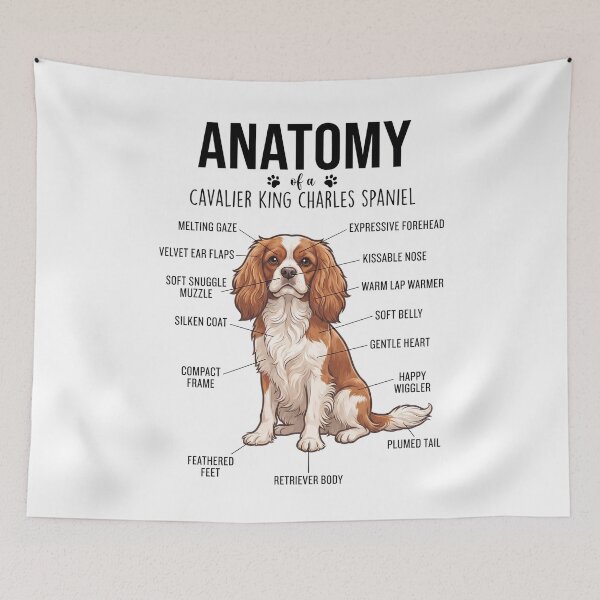 Item preview, Cavalier King Charles Spaniel Anatomy Dog Lover designed and sold by dian-rody-crest.