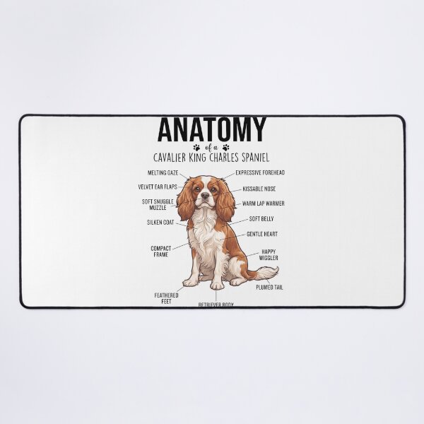 Item preview, Cavalier King Charles Spaniel Anatomy Dog Lover designed and sold by dian-rody-crest.