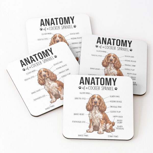 Artikelvorschau, Cocker Spaniel Anatomie Hundeliebhaber entworfen und verkauft von dian-rody-crest.