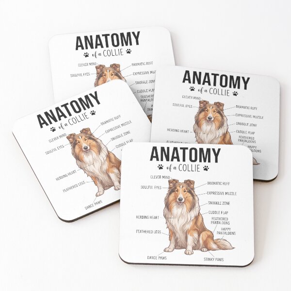 Item preview, Collie Anatomy Dog Lover designed and sold by dian-rody-crest.