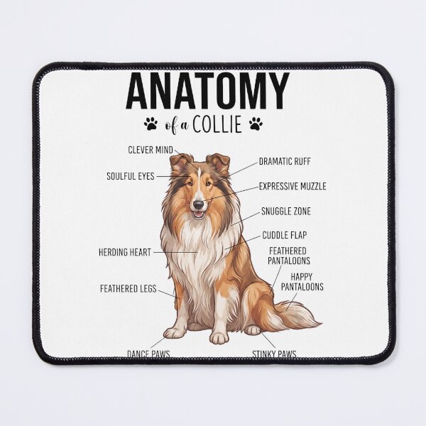 Item preview, Collie Anatomy Dog Lover designed and sold by dian-rody-crest.