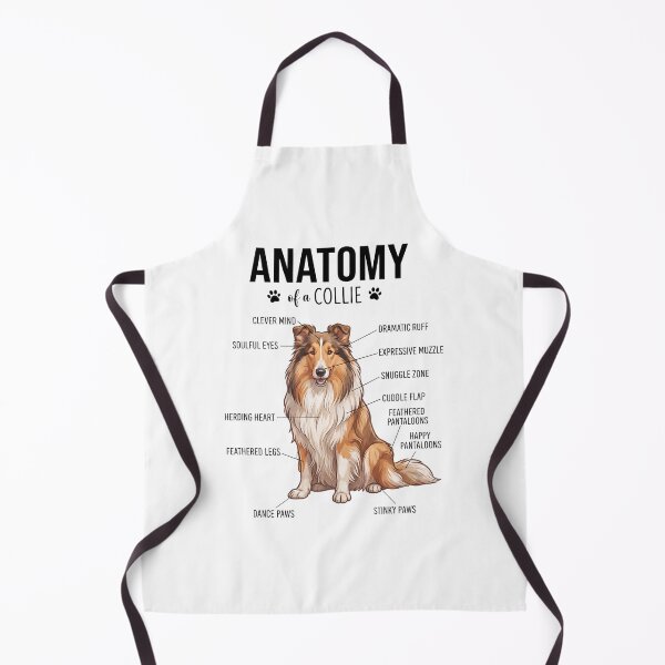 Aperçu de l'œuvre Anatomie du Collie pour les amoureux des chiens créée et vendue par dian-rody-crest.