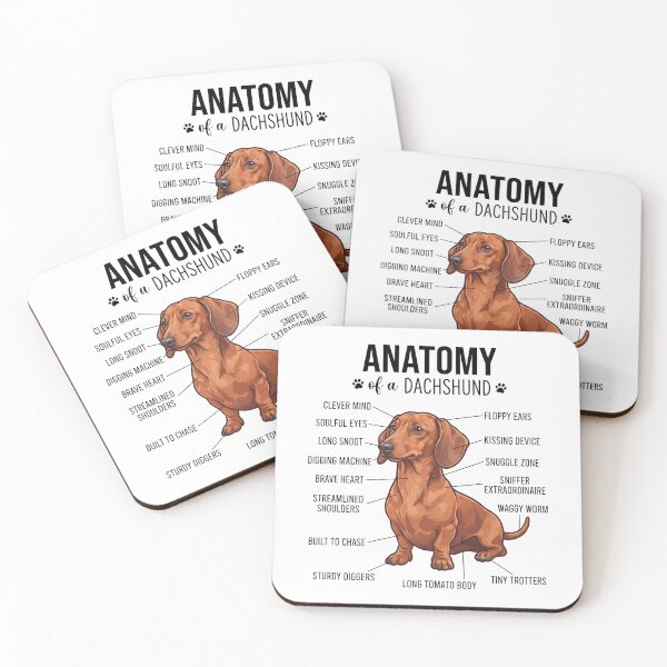 Item preview, Dachshund Anatomy Dog Lover designed and sold by dian-rody-crest.
