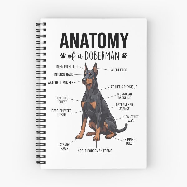Item preview, Doberman Pinscher Anatomy Dog Lover designed and sold by dian-rody-crest.